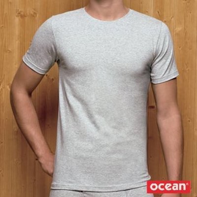 【西班牙OCEAN】(5903)男性時尚簡約圓領灰短袖T-shirt(M)