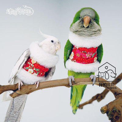 鸚鵡棉衣 保暖鸚鵡衣服 新年拜年鸚鵡衣服 旗袍鸚鵡衣服 飛行服 鳥兒衣服玄風和尚 鸚鵡變身裝 鳥類鸚鵡棉衣【我的寶貝】
