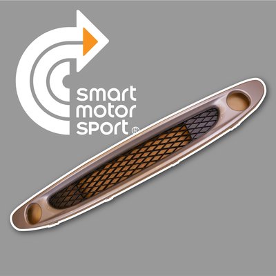 「SMS Smart」BRABUS SMART450_700cc水箱護罩