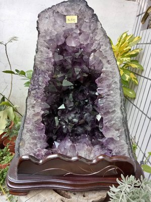 巴西紫水晶洞/金型/厚皮/大結晶/深紫色 36.4kg(特惠出清)