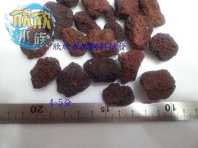 ~欣欣水族~AF9--印尼火山岩~1公斤裝~1.2分