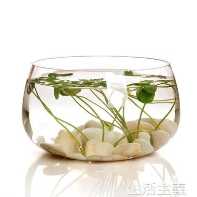 【熱賣精選】魚缸 創意玻璃魚缸圓形金魚缸水族箱烏龜缸小型客廳桌面懶人迷你水培缸