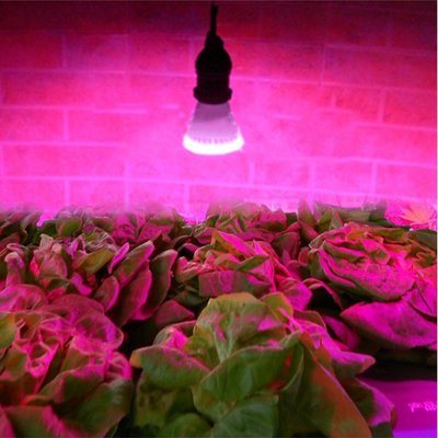 5Cgo【權宇】室內植物生長 專業的紅藍LED燈 暖房種植光合補水園藝花卉補光育苗開花水果 節能 E27 含稅會員扣5%