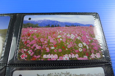 【YUAN】早期台北市公車票卡 編號A0157-1/3 波斯菊花海 福壽山農場