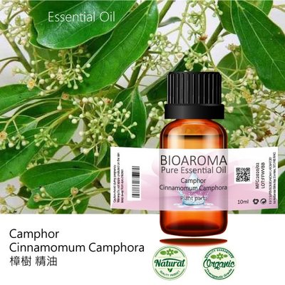 【純露工坊】樟樹精油Camphor-Cinnamomum Camphora 10ml