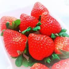 "草莓族"日本草莓種子/熊本 恋のぞみ/10粒入種子
