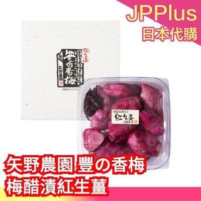 日本紫蘇梅乾的價格推薦- 2023年4月| 比價比個夠BigGo