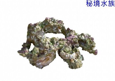 ♋ 秘境水族 ♋【美國CORAL REEF 】 珊瑚礁 人工活石(假活石) 適用裝飾/躲藏/繁殖 (TZ-H402)