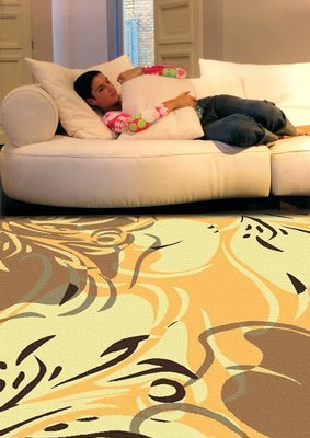 【范登伯格】奧瓦潑墨設計現代輕薄不佔空間進口絲質地毯.促銷價890元含運-70x120cm