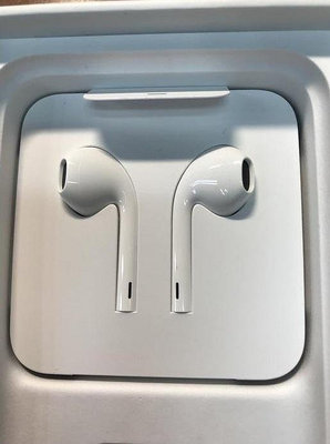 (降價)全新 Apple 蘋果原廠耳機 Lightning 接頭 (iPhone 11 盒內附的，拆售)
