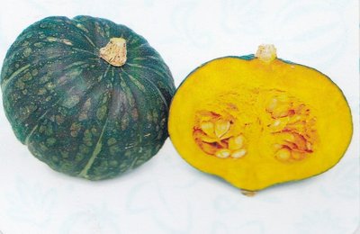 【蔬菜種子S061】黑栗南瓜~~栗子南瓜型，果皮黑綠色，果重約1公斤，肉色鮮黃，肉質極佳，播種至採收約90天。