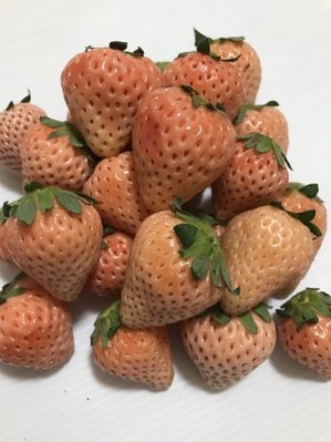 ┌日本奈良 淡雪草莓┐ ☆好康大優惠!!! 凡購買本賣場10包送1包!!!