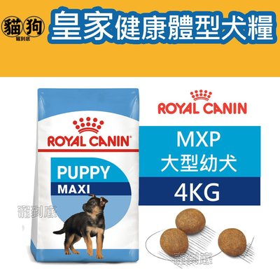 寵到底-ROYAL CANIN法國皇家SHN健康體型犬系列【MXP大型幼犬】4公斤