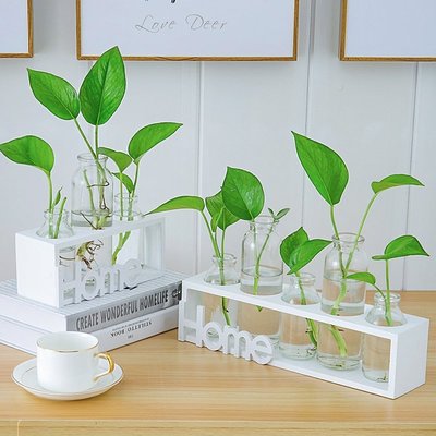 【熱賣下殺】水培小花瓶創意玻璃綠蘿透明小清新水養植物桌面裝飾擺件客廳插花