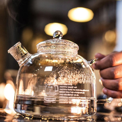 廠家出貨德國Trendglas直火煮茶壺耐高溫玻璃燒水壺大容量水果泡茶壺過濾