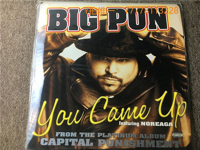 黑膠唱片You Came Up Big Punisher 電子 M版黑膠LP S14386