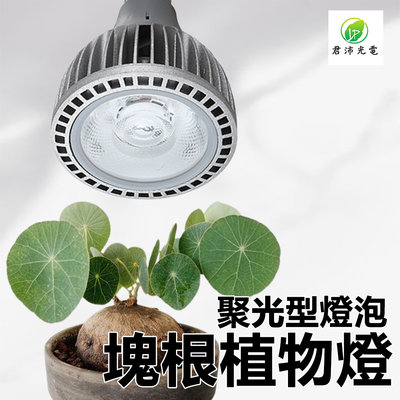 LED植物燈 20瓦 聚光型 高亮全光譜 植物燈泡 君沛光電 君沛植物燈
