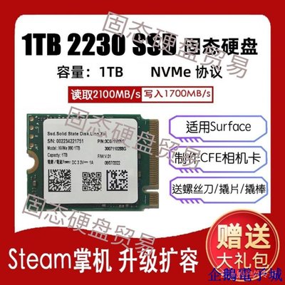 溜溜雜貨檔【品質保障】優選 固態硬碟 1T 2230 固態PCIE3 steam deck/surface pro硬碟全新庫