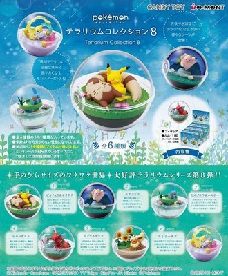 【奇蹟@蛋】 RE-MENT(盒玩)寶可夢寶貝球盆景品P8 全6種 中盒販售
