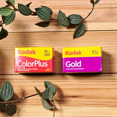 現貨 柯達 Kodak ColorPlus / GOLD 200度 36張 彩色 底片