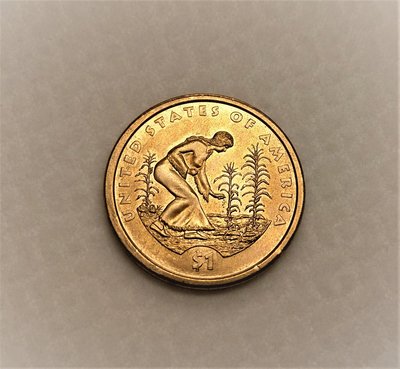 美國 稀少 無記 美洲原住民 莎卡嘉薇 種植 種子 SACAGAWEA ONE DOLLAR 1元 美金 紀念幣 錢 幣