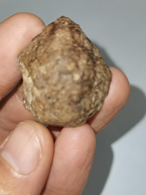 【二手】精品球粒隕石，來自撒哈拉沙漠的NWA 西北非石隕石，保真！一 古董 老貨 收藏 【錦繡古玩】