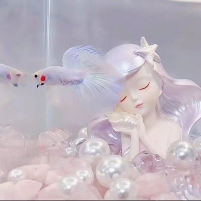 【熱賣下殺】超級仙bling可愛海洋少女魚缸造景擺件婚紗斗魚水族箱