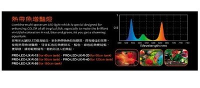 UP 雅柏 UX 系列 增艷燈 LED 11cm寬 跨燈 3尺