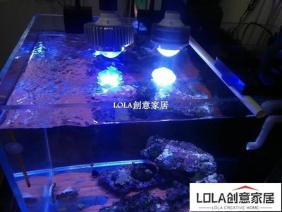 免運-特製16W魚眼藍光珊瑚投光燈燈水族燈