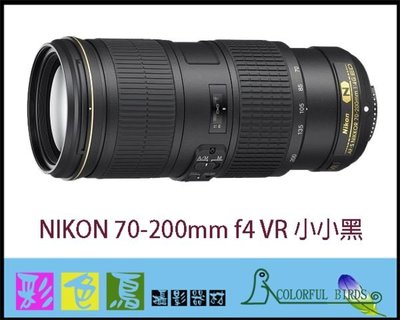 彩色鳥 (相機出租 鏡頭出租) NIKON AF-S 70-200mm f4 VR + 1.4X II 加倍鏡