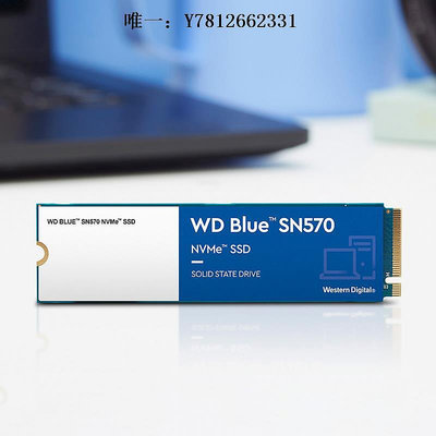 電腦零件WD/西部數據 WDS100T3B0C SN570固態1t 電腦裝機M.2接口NVMe協議筆電配件