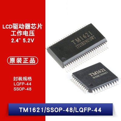 貼片 TM1621 SSOP-48/LQFP-44 RAM映射 32*4 LCD驅動器 W1062-0104 [381977]
