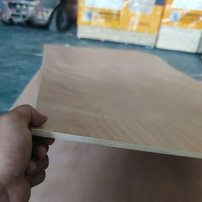 下殺 3~18毫米多層板打底板閣樓板保護板實木板《》折扣 滿減 新品 促銷