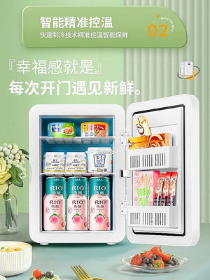 迷你小型冰箱車載宿舍單一人家用mini冷凍櫃恒溫母乳冷藏盒