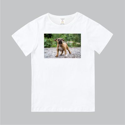 T365 MIT 親子 童裝 情侶 T恤 T-shirt 短T 狗 DOG 比特犬 pitbull pit bull
