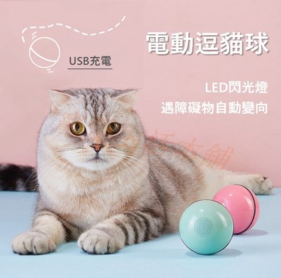 附發票【寵愛生活本舖】LED發光電子逗貓球 USB充電 自動逗貓器 逗貓玩具 貓玩具