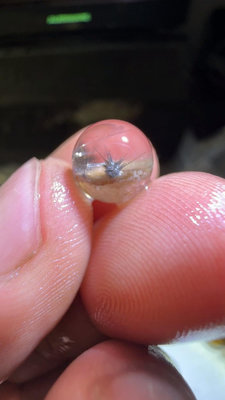 9mm天然銀鈦花水晶單珠，土色系幽靈聚寶盆上長著海膽銀鈦晶花