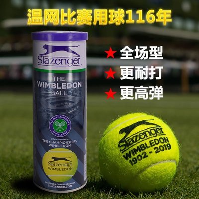 【熱賣精選】Slazenger史萊辛格正品網球溫網比賽球初學者練習球耐打3粒鐵罐裝