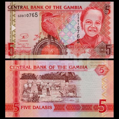 森羅本舖 實體拍攝 甘比亞 精美外幣 5 達拉西 水鳥 水牛 女孩 具收藏價值商品 鈔票 非洲 落後