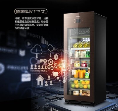 【興達生活】Casarte/卡薩帝 DS0166D 166升玻璃門茶葉櫃保鮮櫃冰吧冷藏冰箱
