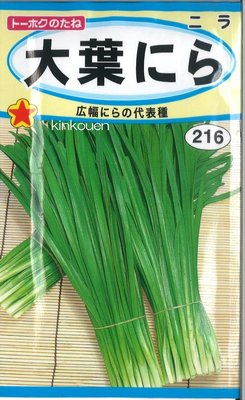 日本大葉韭菜種子