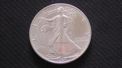 銀幣美國1991年早期行走女神拿花鷹洋1美元 1盎司投資銀幣 美洲錢幣