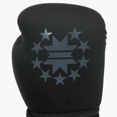 【熱賣下殺】拳套重塑RESHAPE KALI ACTIVE時尚五星印花專業運動拳擊訓練手套