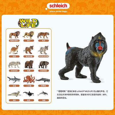 schleich思樂動物模型野生動物仿真兒童玩具禮物彩面狒狒14856