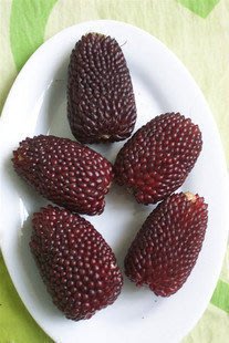 【媽咪蔬果園】、草莓水果玉米可生吃　種子