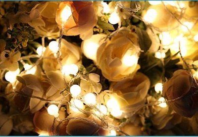 LED {{小圓球}}燈串 庭院婚禮節慶裝飾燈(插電款)