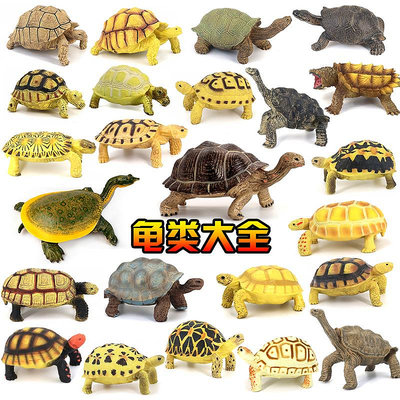 仿真實心陸龜模型玩具象龜蘇卡達烏龜大全星龜鱷龜擺件兒童禮物