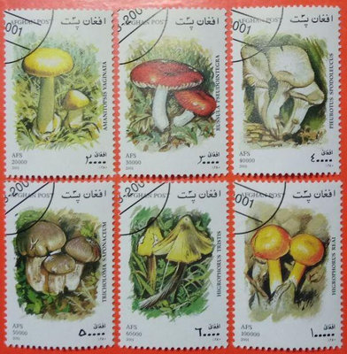 阿富汗郵票舊票套票 2001 Mushrooms 2001
