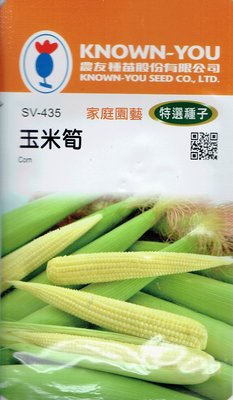 玉米筍 Corn(sv-435) 【蔬菜種子】農友種苗特選種子 每包約10公克 耐熱、耐濕