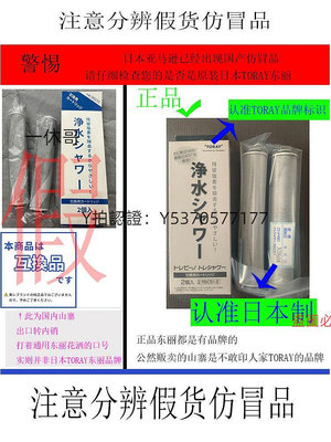 淨水器濾心 日本TORAY東麗比諾 RS51 52 53凈水過濾花灑濾心母嬰護膚除氯現貨